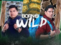 Born To Be Wild May 18 2025 Replay Episode